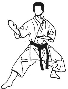 Guía para Principiantes en Karate Do Shudokan: Los Fundamentos para Iniciar tu Viaje
