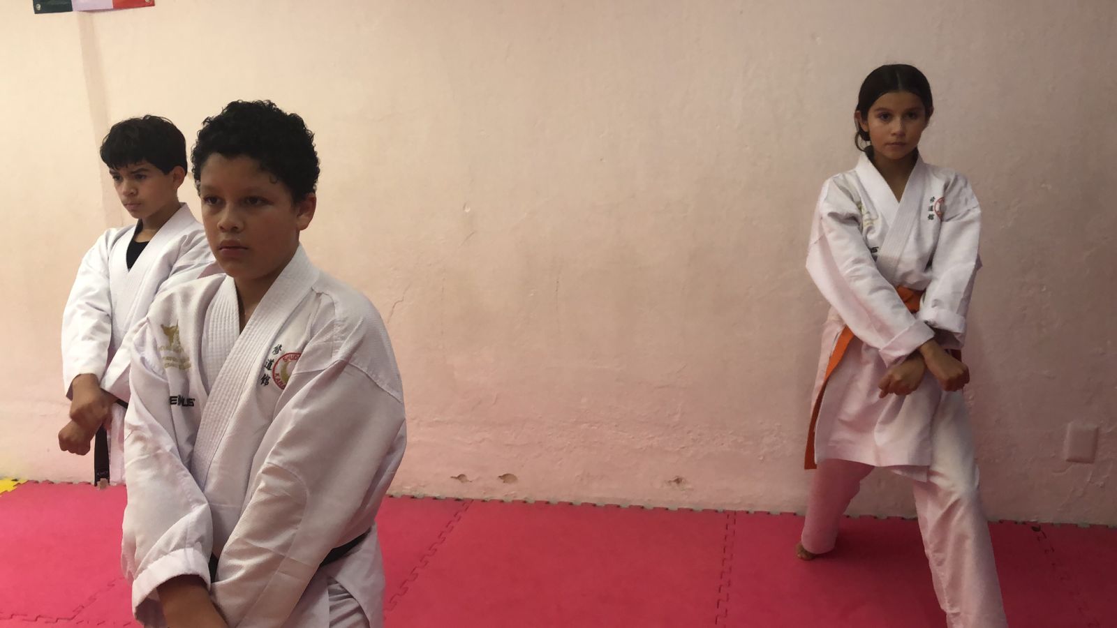 Disciplina y Esfuerzo en Nuestro Dojo